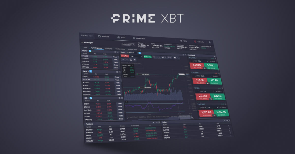 Exploring the Potential of Brazil PrimeXBT