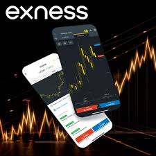 Exness Education